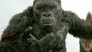 Kong: Skull Island (2017) | Image Source: Warner Bros. Pictures